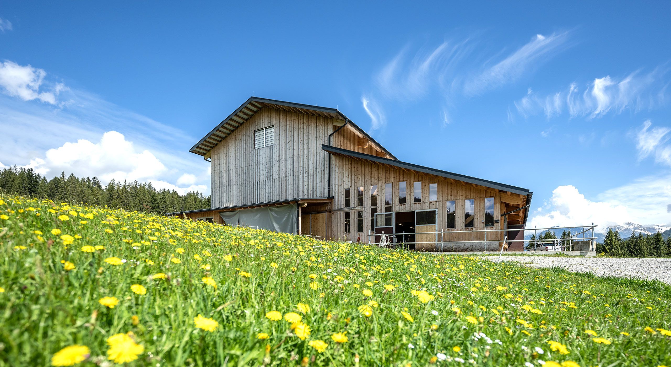 Stall im Straußberg