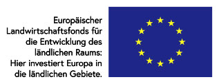 EU Fahne 